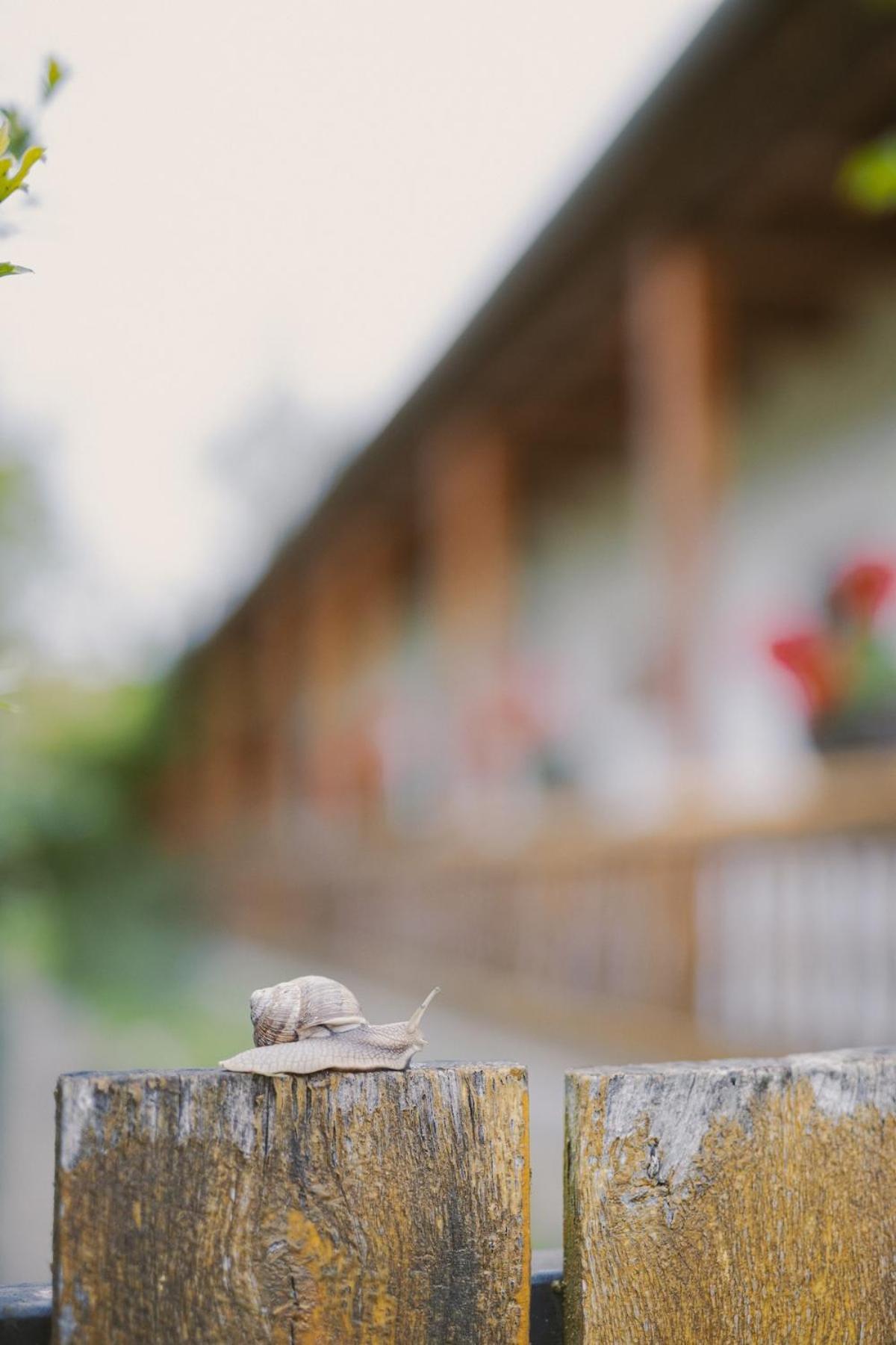 Beke Vendeghaz Hollókő Exteriér fotografie